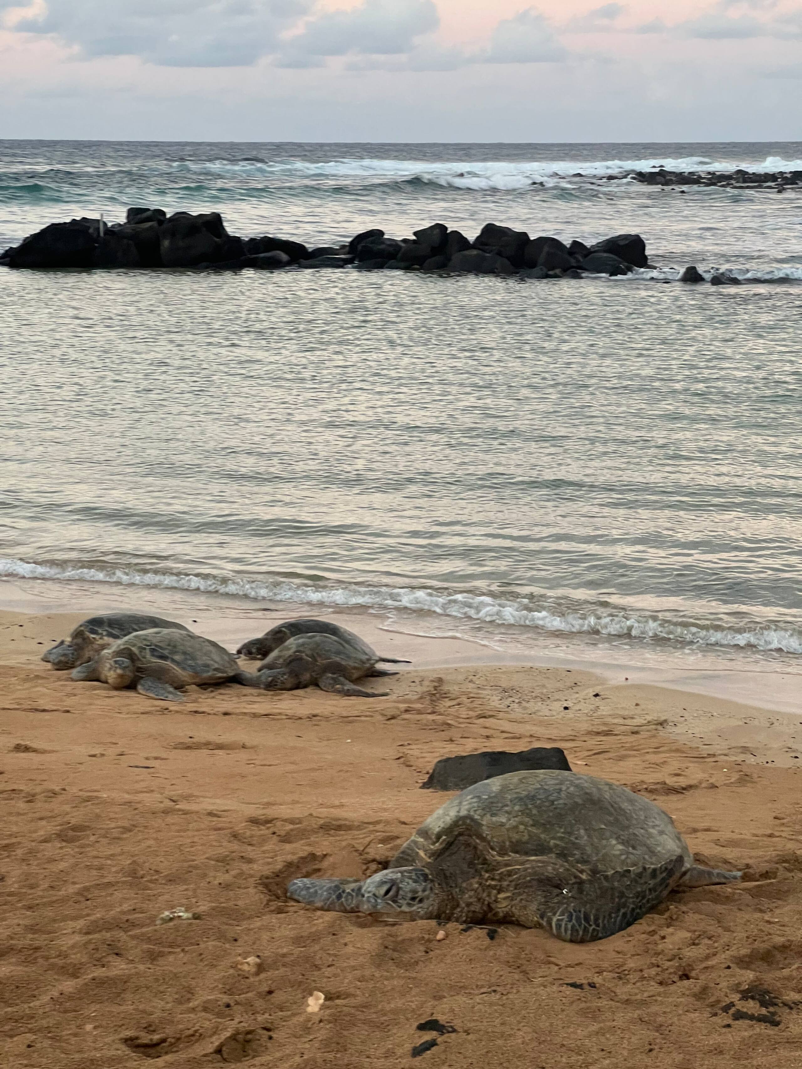 Kiahuna, AC, Partial Ocean View, Family Friendly - Photo 70