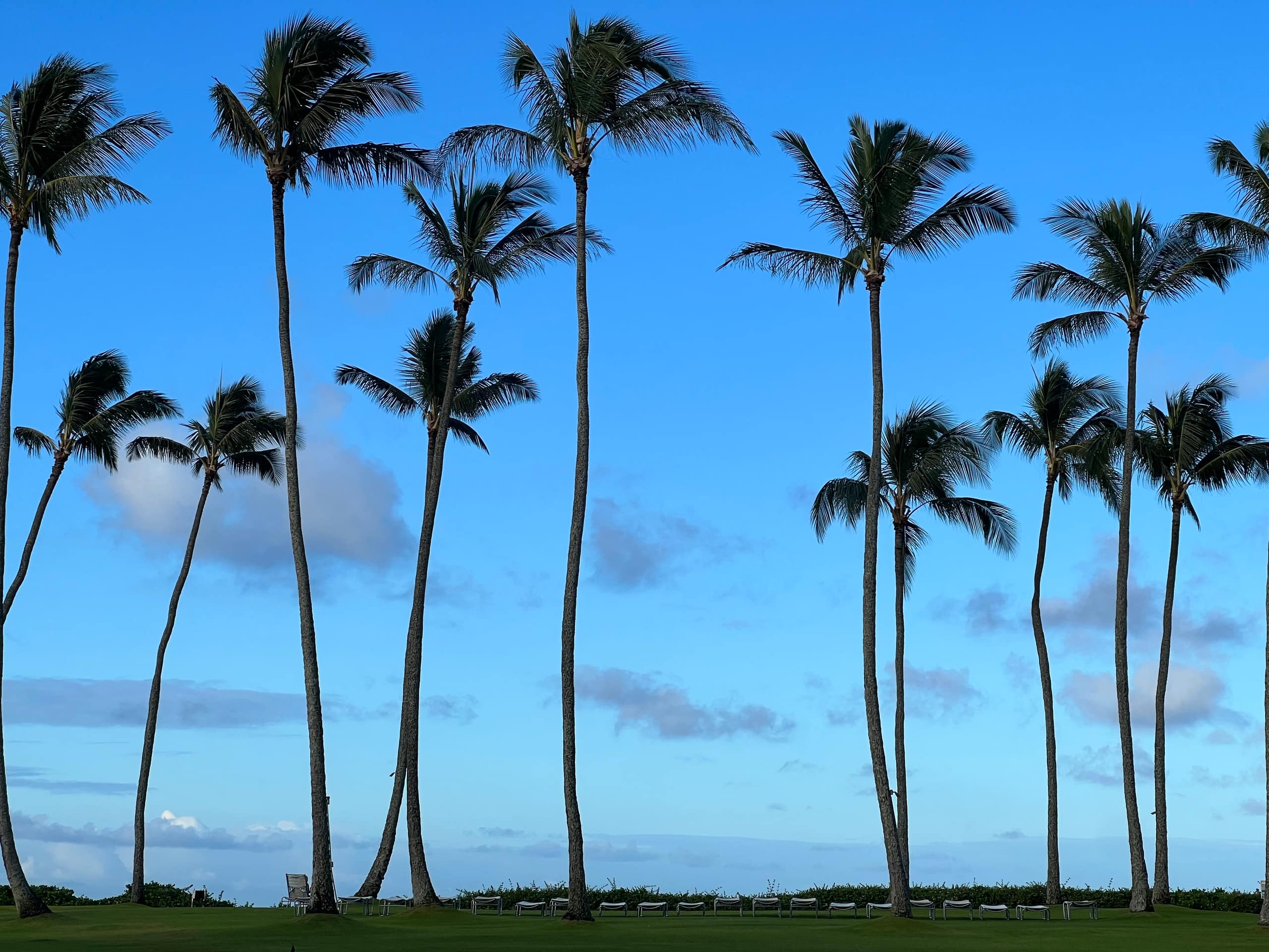 Kiahuna, AC, Partial Ocean View, Family Friendly - Photo 69