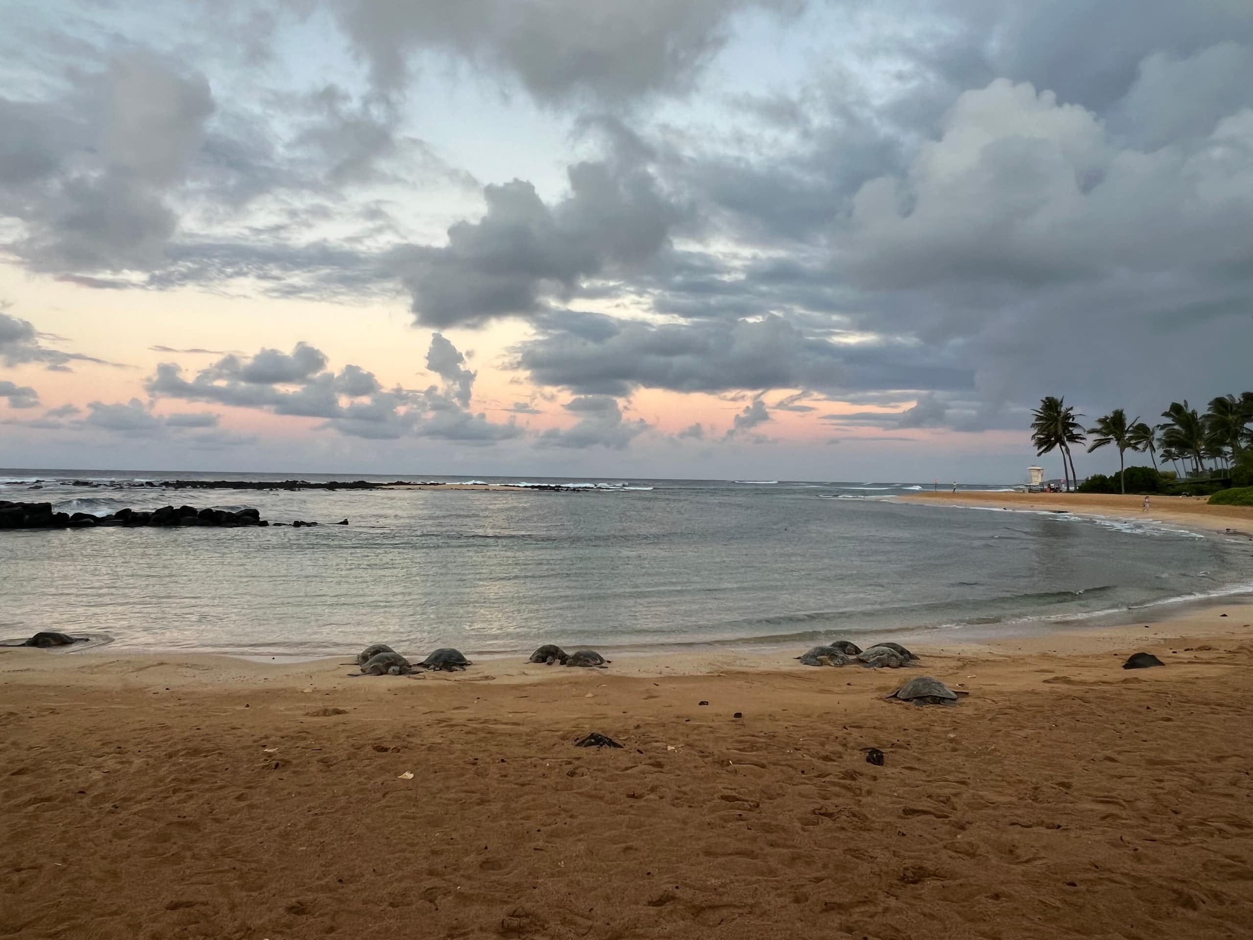 Kiahuna, AC, Partial Ocean View, Family Friendly - Photo 68