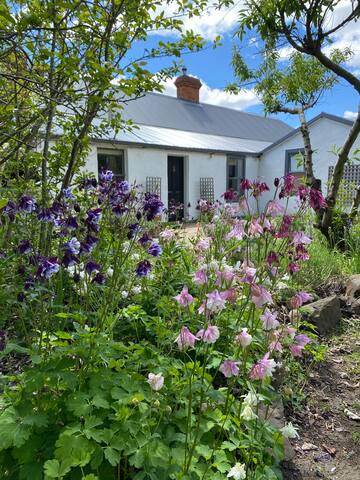 Perfect for groups & families gateway to Tasmania gallery image 2