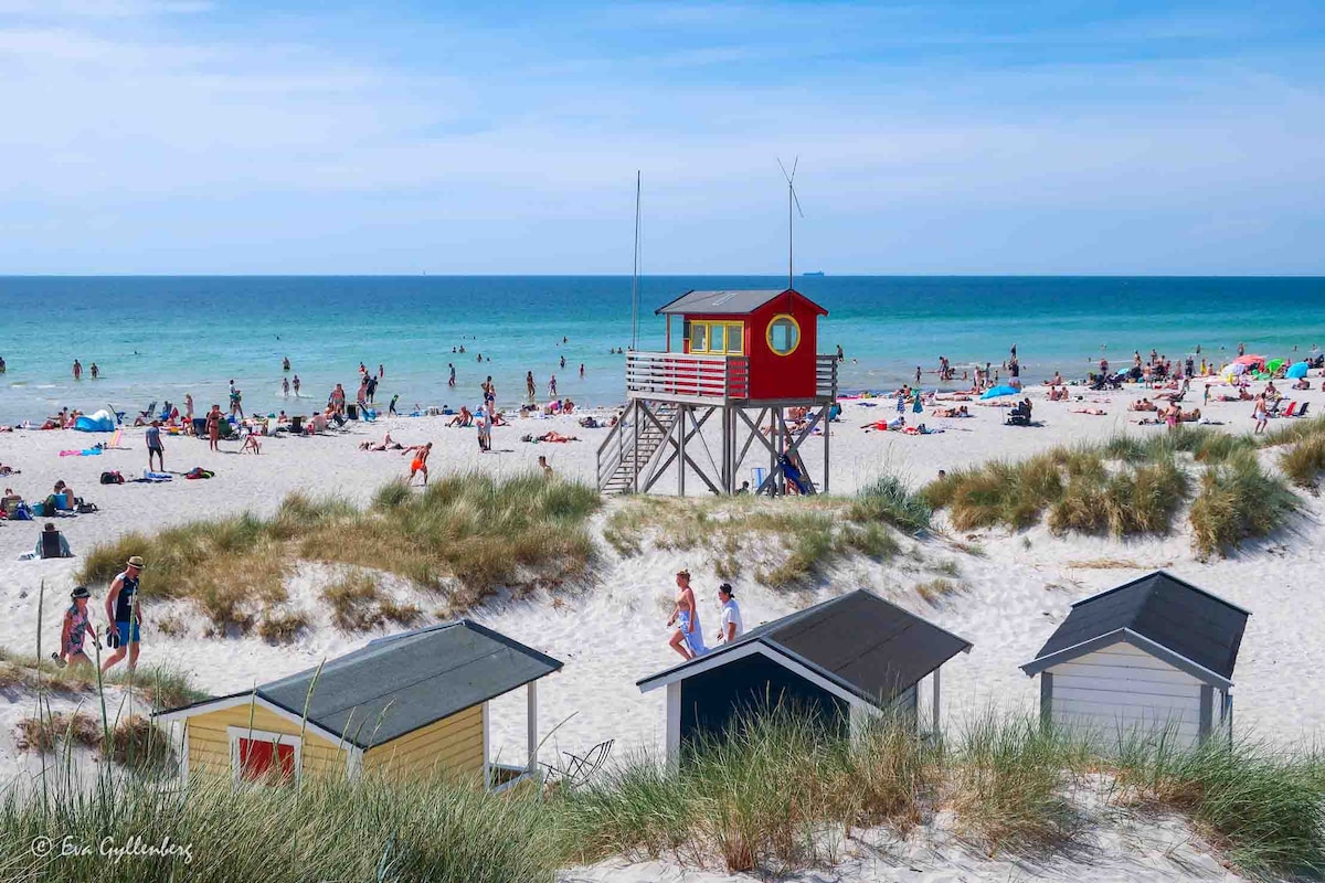 A sandy beach is presented, featuring several colorful beach cabins and a lifeguard tower. Sunbathers are scattered across the white sand, while gentle waves lap at the shoreline under a clear blue sky.