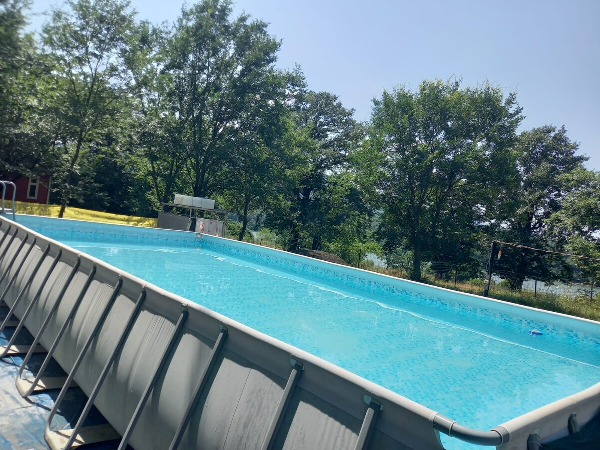 An above-ground swimming pool is surrounded by lush trees, offering a refreshing outdoor space. The bright blue water reflects sunlight, and a ladder is positioned for easy access. The area appears sunny and inviting, suitable for family activities.