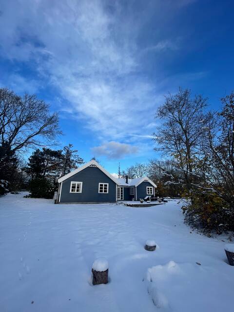 Spacious coziness.
