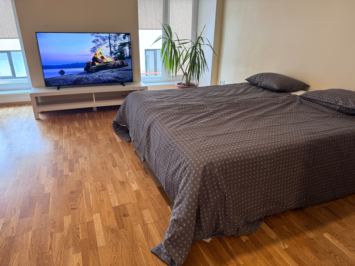 A spacious sleeping area features a neatly made bed covered with a dark dotted blanket. A large television is positioned in front of the bed, and a potted plant adds a touch of greenery. Natural light filters through the window, highlighting the warm wooden floor.