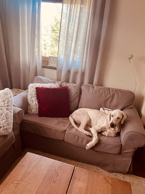 House time with sauna