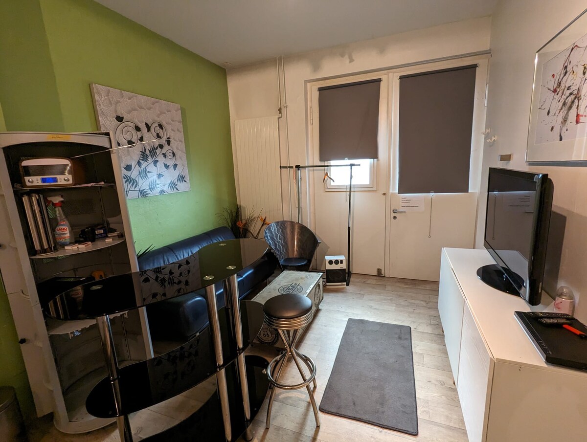 Top performing Airbnb: Manesse Studio in Alt Wiedikon