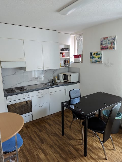 Top performing Airbnb: Manesse Apartment "15" in Alt Wiedikon