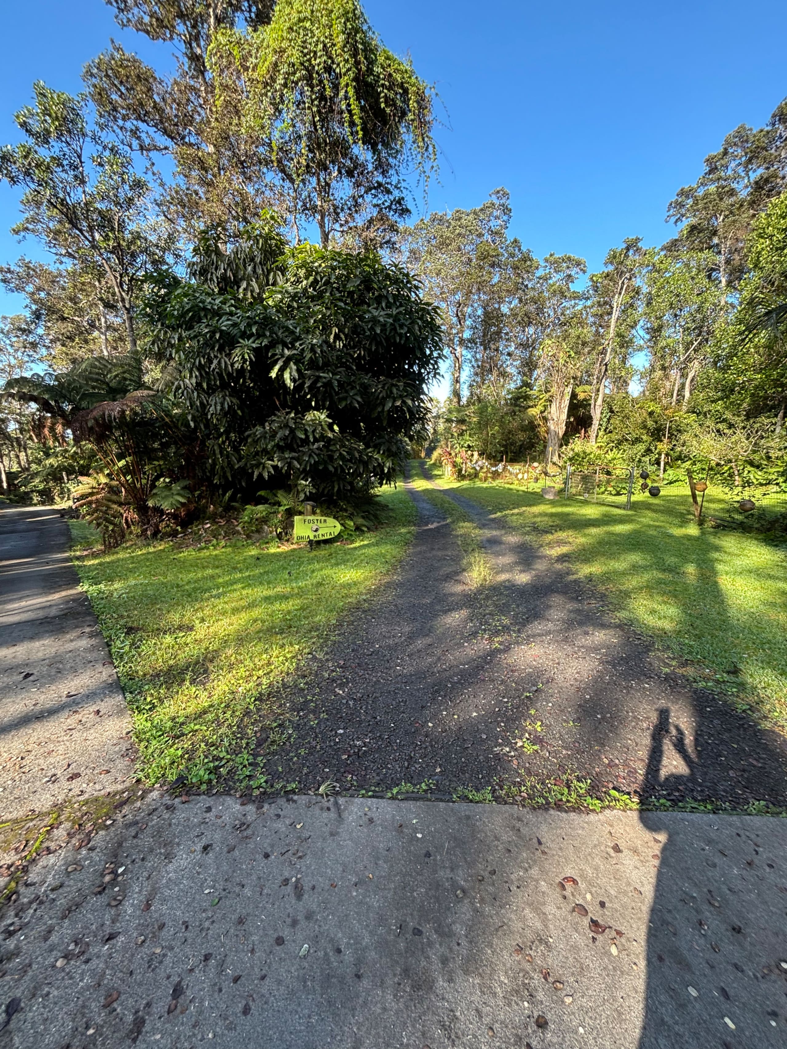 Foster's Ohia Hale - Image 17