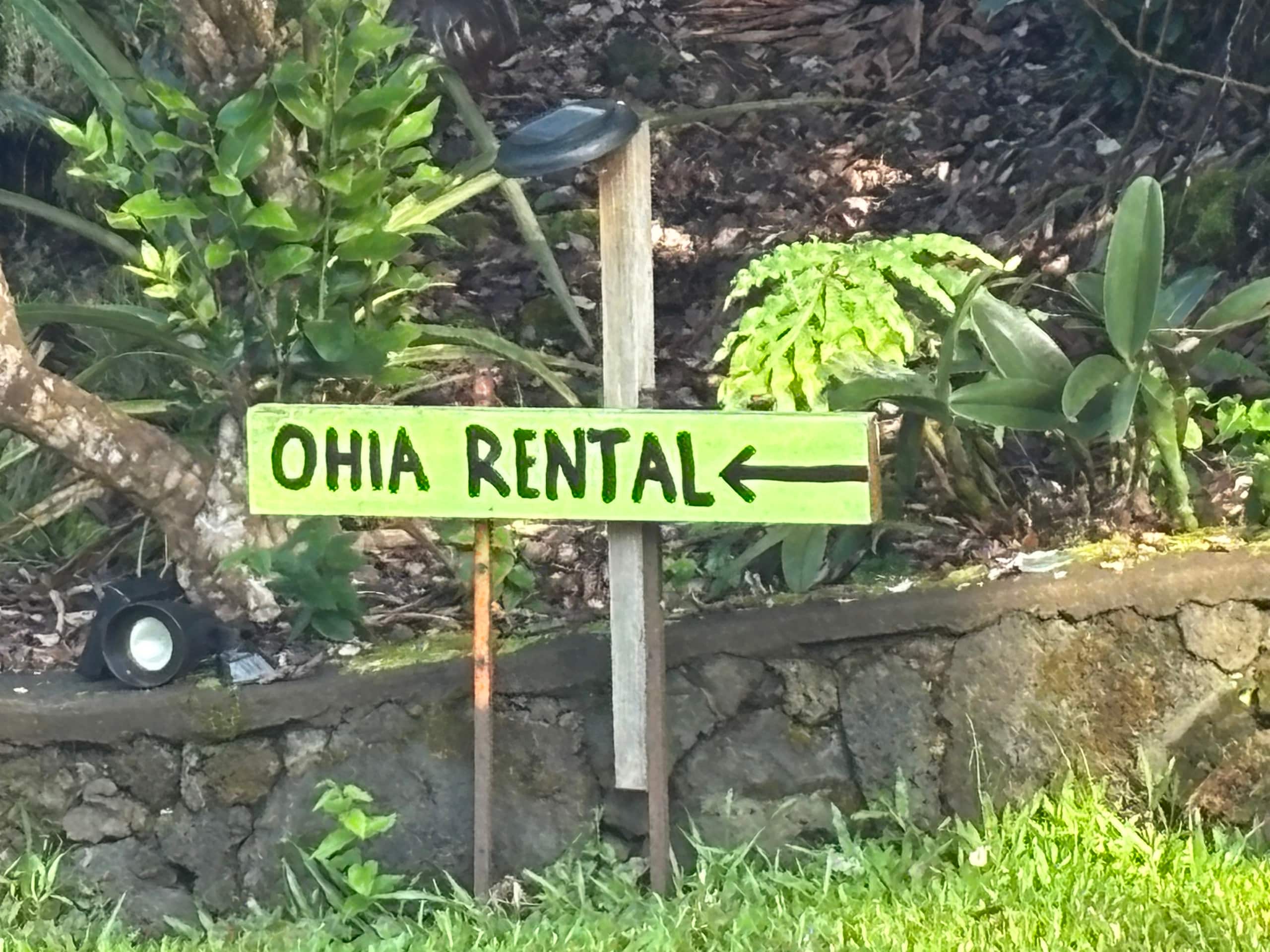 Foster's Ohia Hale - Image 14