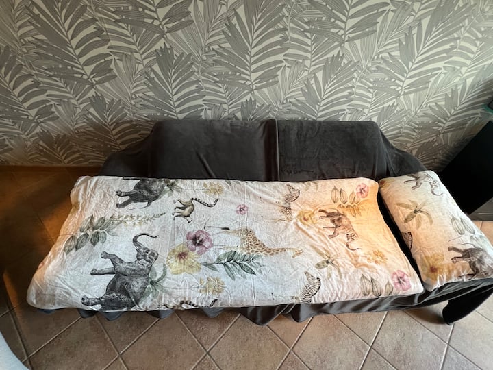 Crveni kožni kauč u dnevnom boravku može se pretvoriti u kauč na razvlačenje za dodatne osobe, što košta 40 € po noćenju uz cijenu za dvije osobe koje spavaju u spavaćoj sobi (smještaj)

(Spavaća soba i dnevni boravak potpuno su odvojeni.)