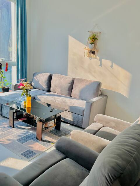 1bhk apartment in city center