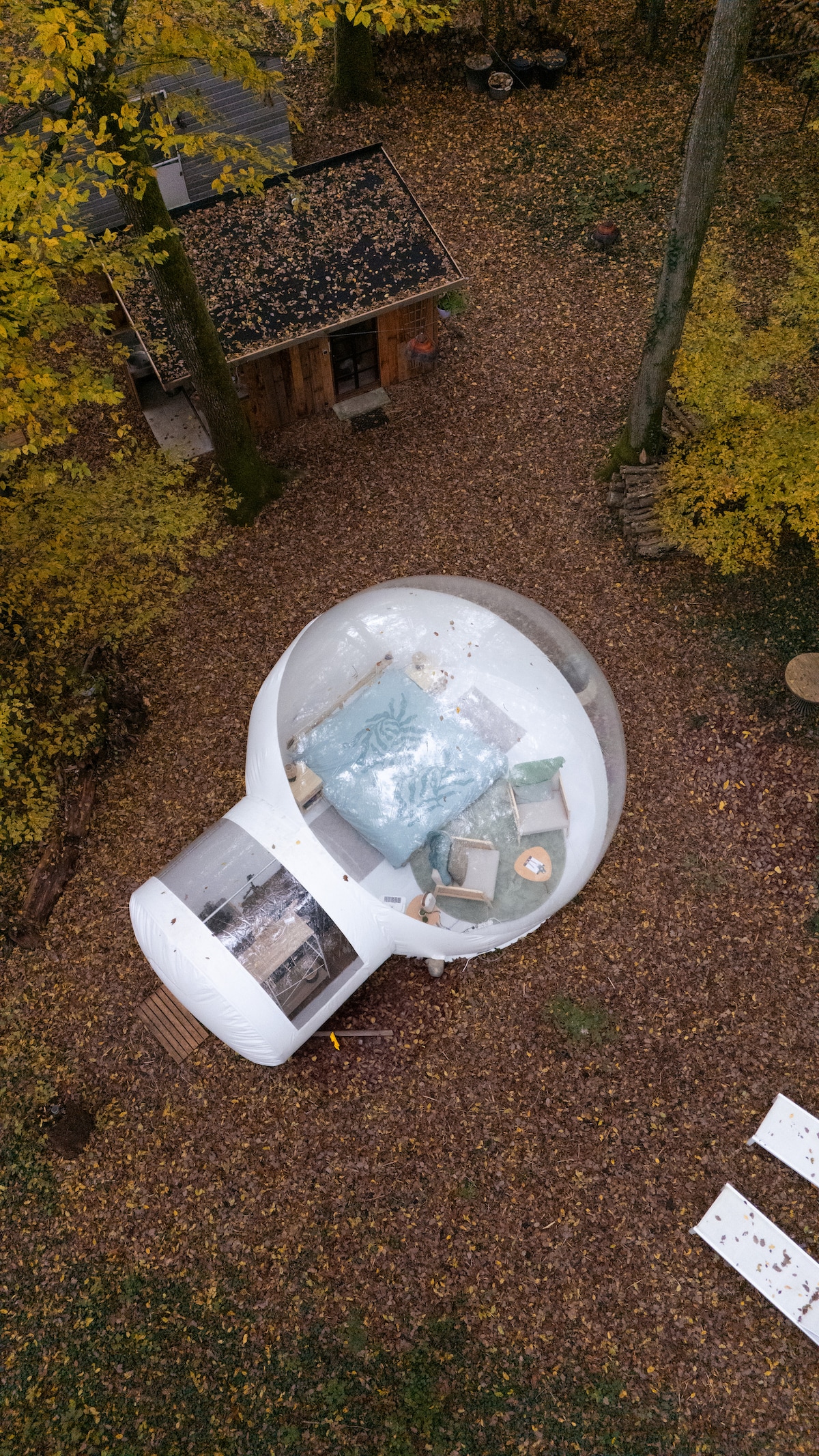 An aerial view showcases the transparent bubble tent nestled within a carpet of autumn leaves. Inside, a spacious king-size bed is positioned to emphasize the surrounding nature. The outdoor kitchen and wooden structure are visible nearby, blending seamlessly with the serene woodland setting.