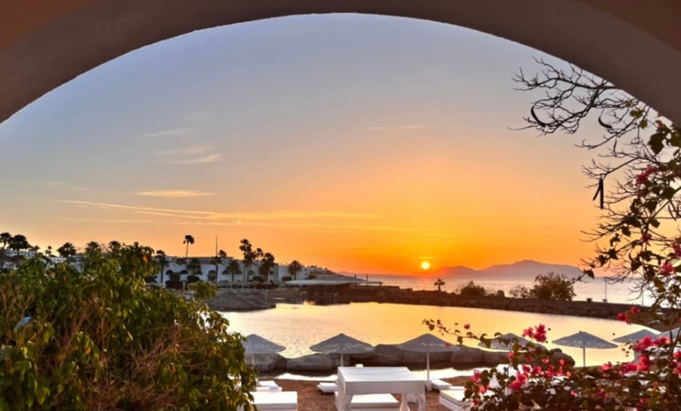A serene view showcases a sunset over calm waters, framed by an archway. Tropical plants and vibrant flowers add color to the scene, while sun loungers provide a relaxing spot to enjoy the tranquil landscape.