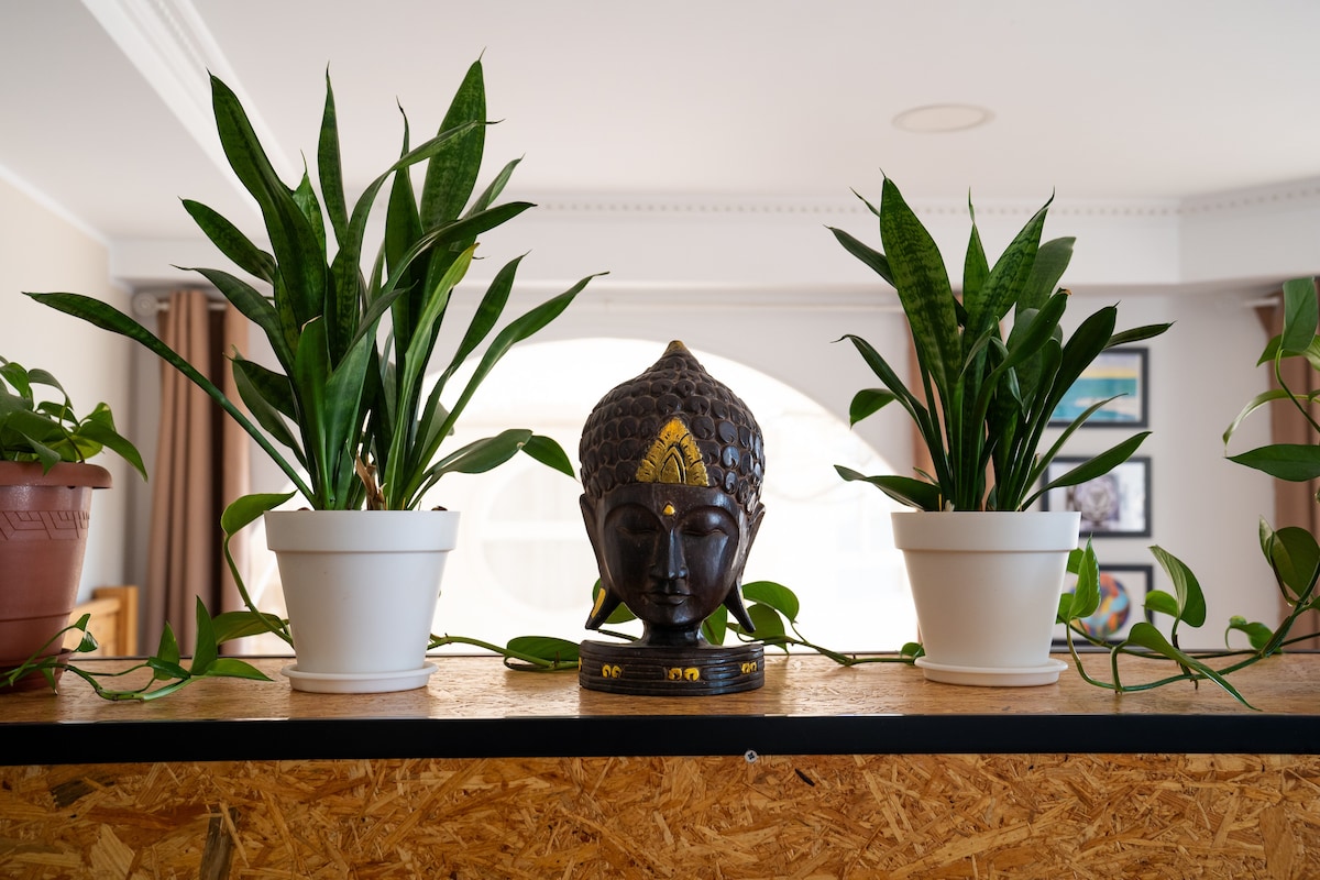 Top performing Airbnb: Studio III in a yoga and retreat complex in Santa Pola