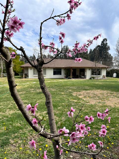 Country house in Talagante