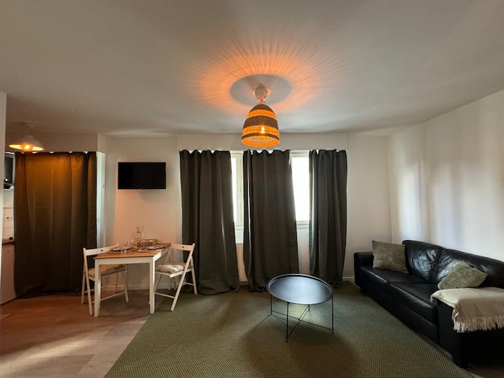 Studio Hyper Centre •Gare 50 M • Grand-place 1 Min - Lomme