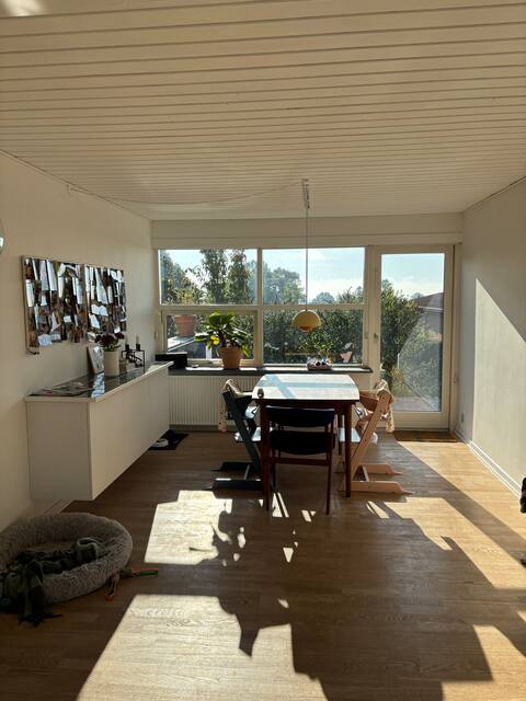 Entire house in a nice residential neighborhood