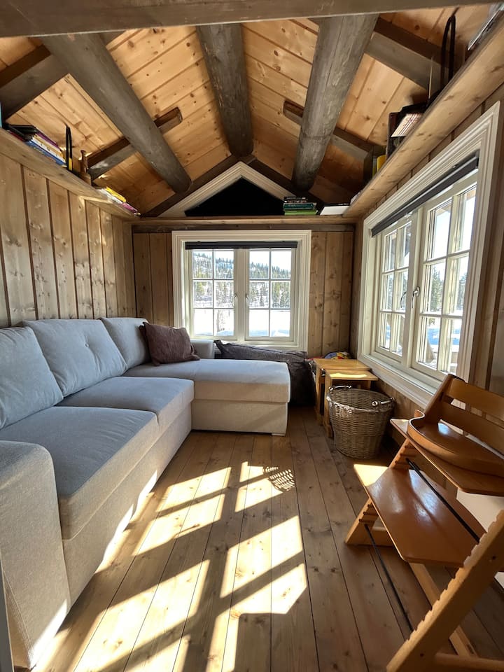 ห้องนั่งเล่น 2 พร้อมโซฟาเบดสำหรับ 2 คนและของเล่นสำหรับเด็ก 