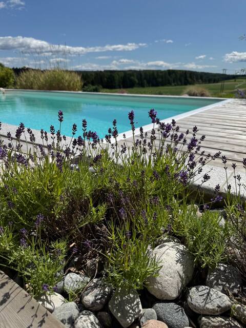 Rural villa with heated pool, close to Oslo