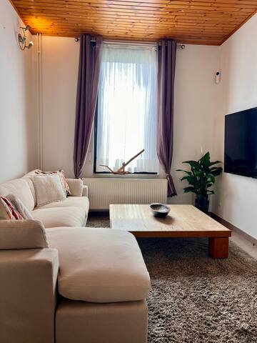 Les 4 filles de Mr Jacques gallery image 3