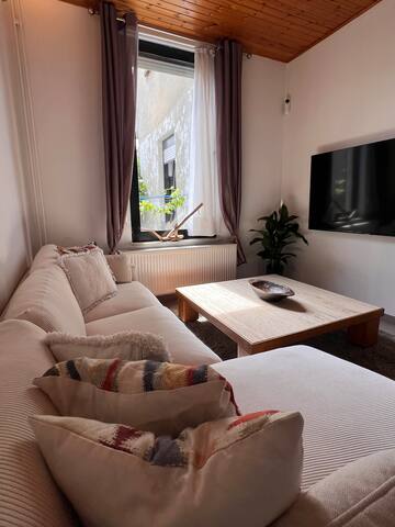 Les 4 filles de Mr Jacques gallery image 4