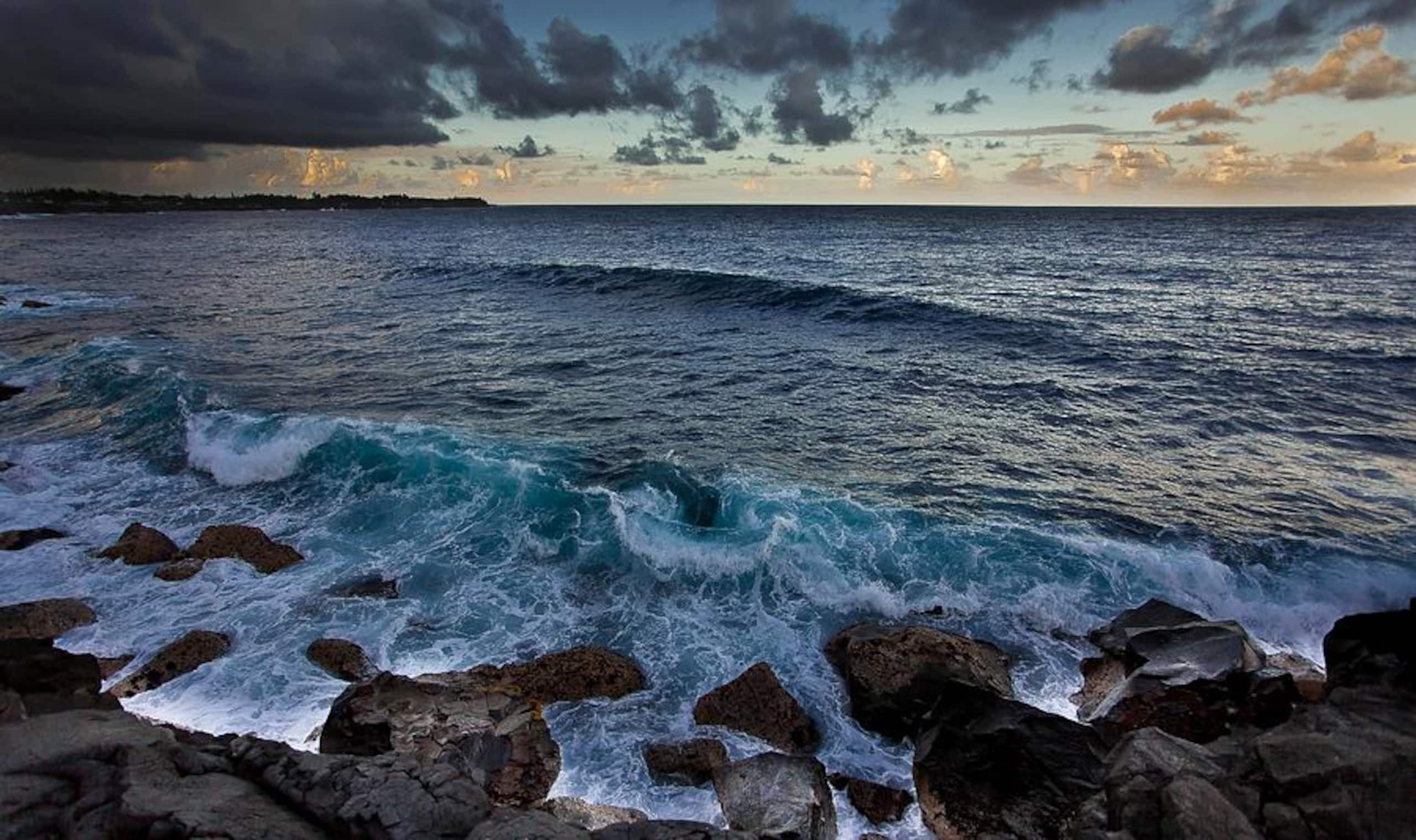 Home in Keaau · ★5.0 · 1 bedroom · 1 bed · 1 shared bath - Image 16