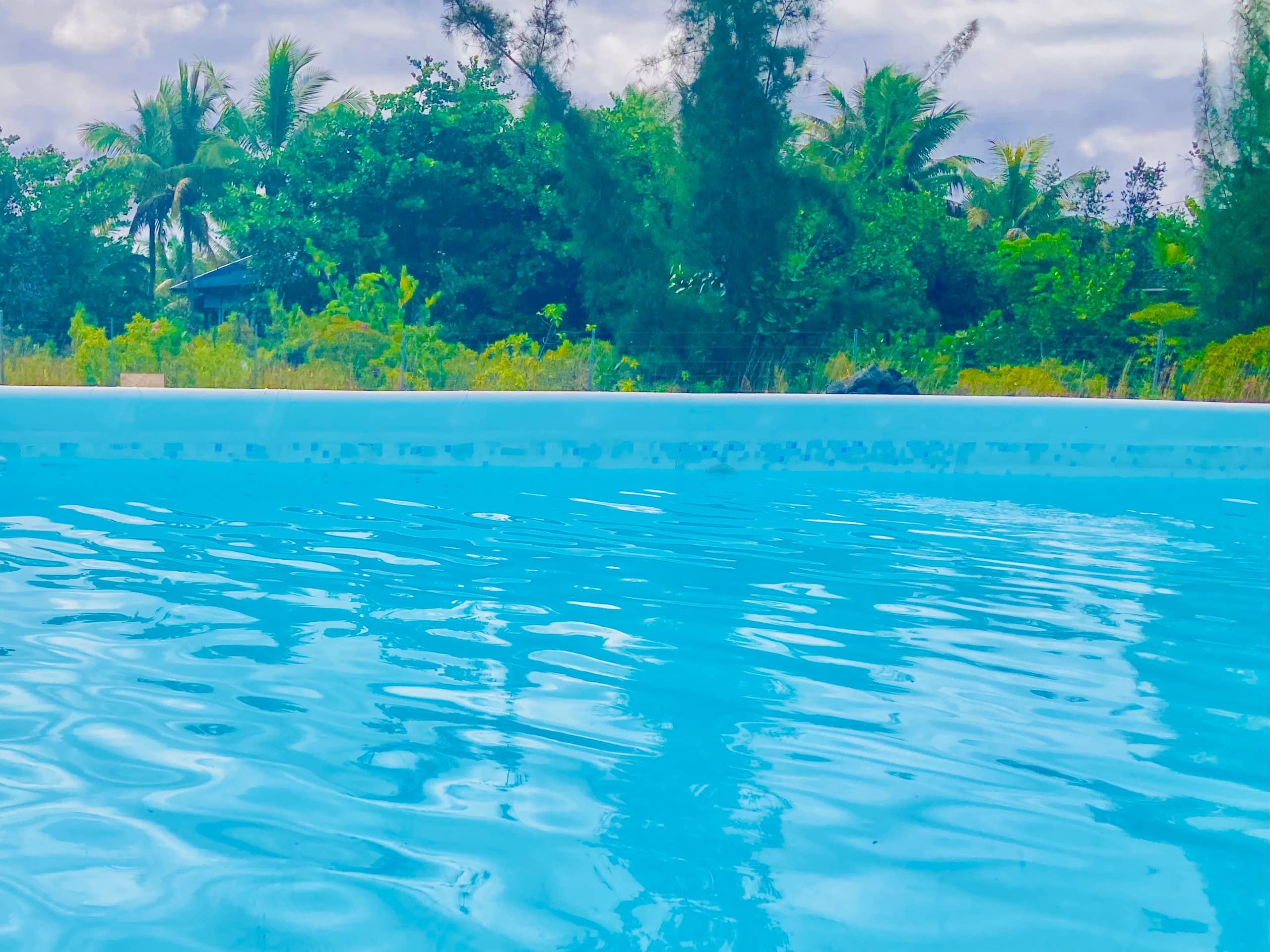 Home in Keaau · ★5.0 · 1 bedroom · 1 bed · 1 shared bath - Image 14