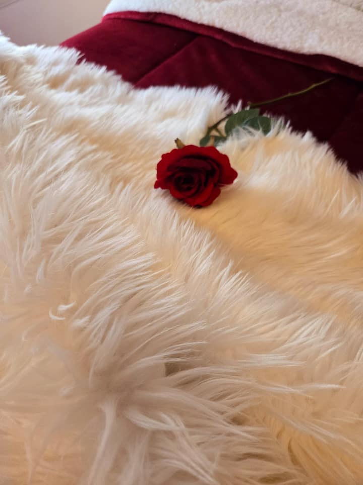 Recámara 3