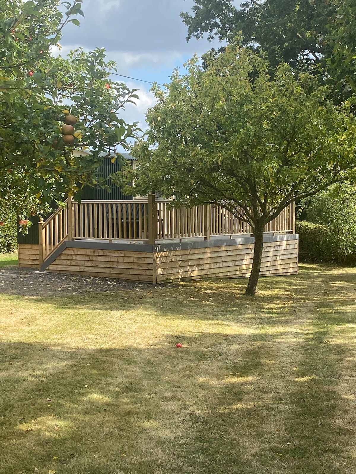 A wooden deck is surrounded by greenery, featuring a sturdy railing and small steps leading up to it. Two trees provide shade, while the grassy area is dotted with fallen leaves, creating a peaceful outdoor space.