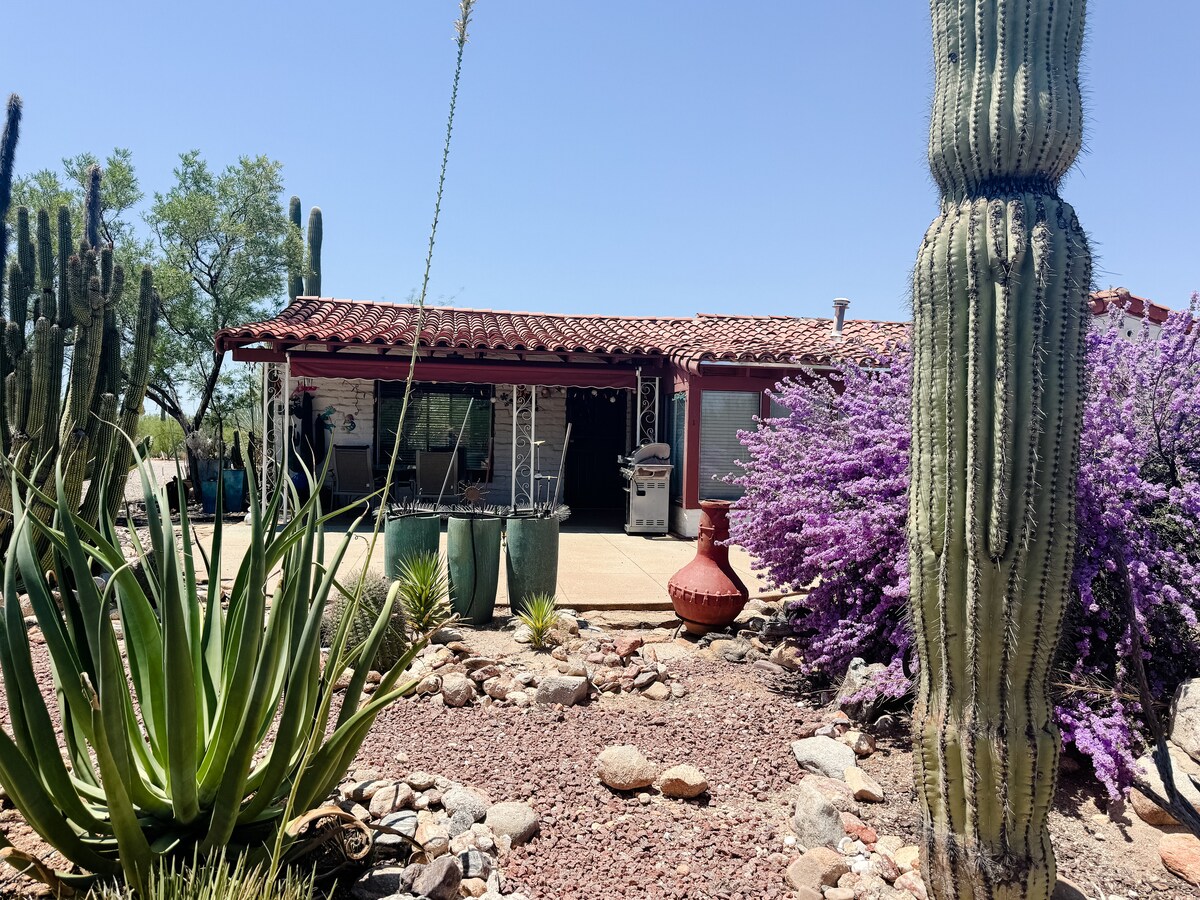 A desert landscape is featured with cacti and vibrant purple flowering bushes in front of a single-story home. The dwelling is accompanied by a spacious patio area and several decorative plants, providing a visually appealing connection between nature and the living space.