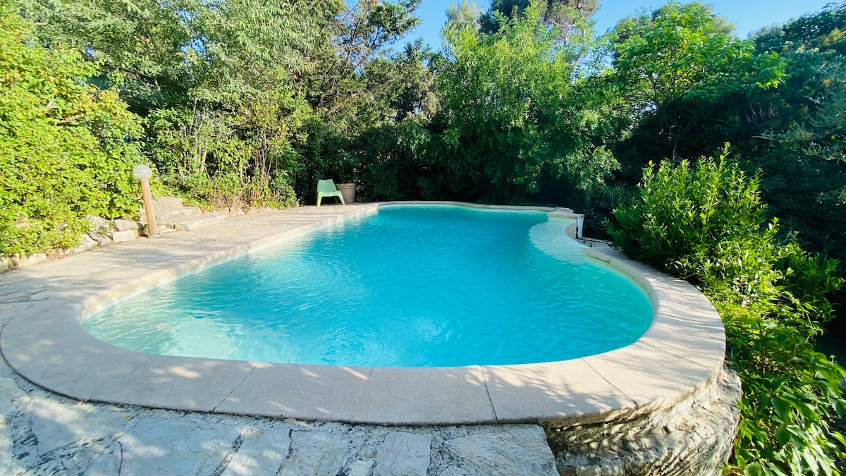 The outdoor pool is surrounded by lush greenery, featuring a smooth stone deck. The water appears clear and inviting. A single lounge chair is positioned nearby for relaxation, and the area's tranquility is enhanced by the surrounding foliage.