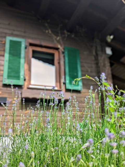 Fichtennest - For Nature Lovers & Peace Seekers