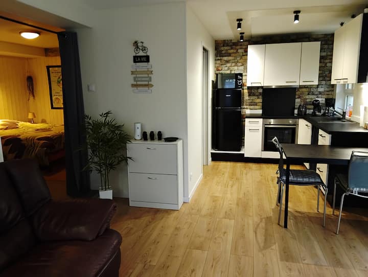Appartement Cosy Avec Terrasse - Bischwiller