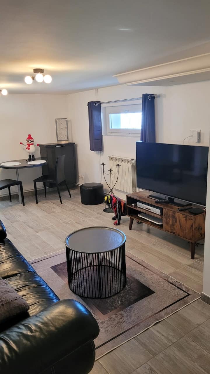 Appartement Moderne Dans Villa - Givors
