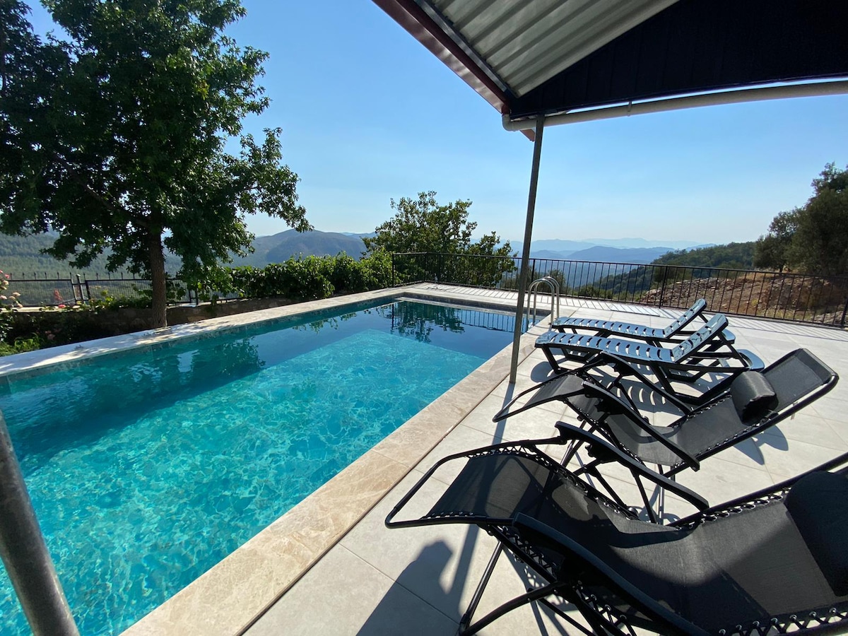 A serene outdoor area features a swimming pool with clear blue water, surrounded by lounge chairs. Green trees and hills are visible in the background, under a clear sky. A covered patio offers shade beside the water.