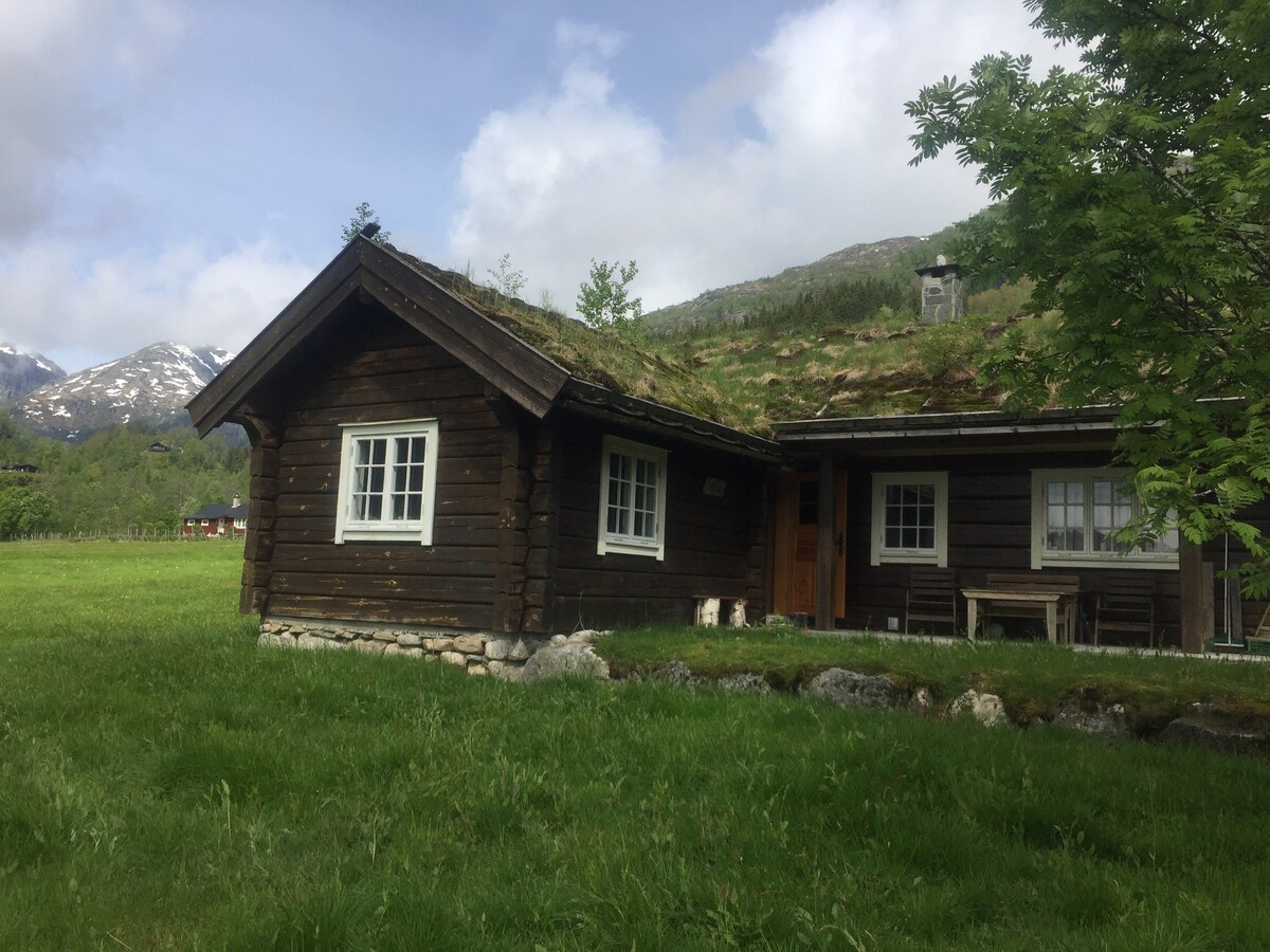A traditional log cabin is set within a grassy area, framed by mountains in the background. The cabin features a sloping roof with greenery on top, multiple windows, and a welcoming entrance. Nearby, a stone pathway and wooden bench enhance the outdoor scenery.