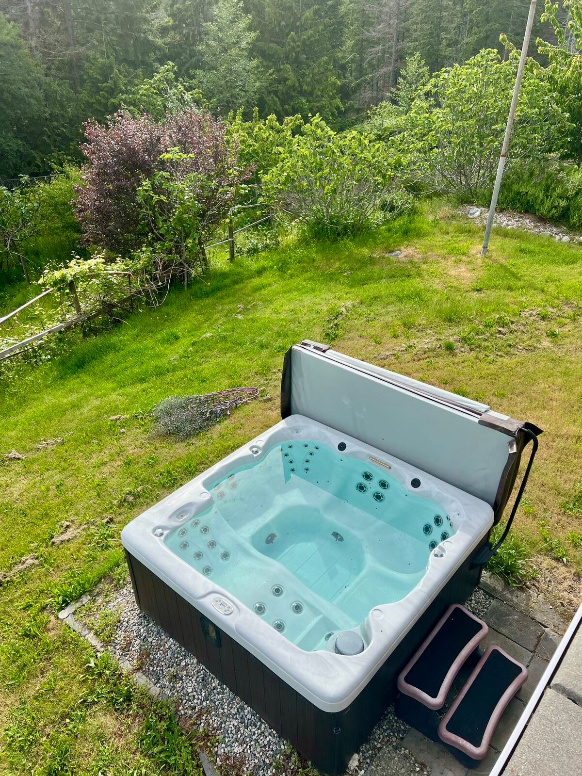 An outdoor spa is positioned on a serene patio, surrounded by lush greenery. The hot tub features multiple jets and an inviting blue water surface, contributing to a peaceful ambiance. Natural foliage enhances the setting, offering a tranquil escape.