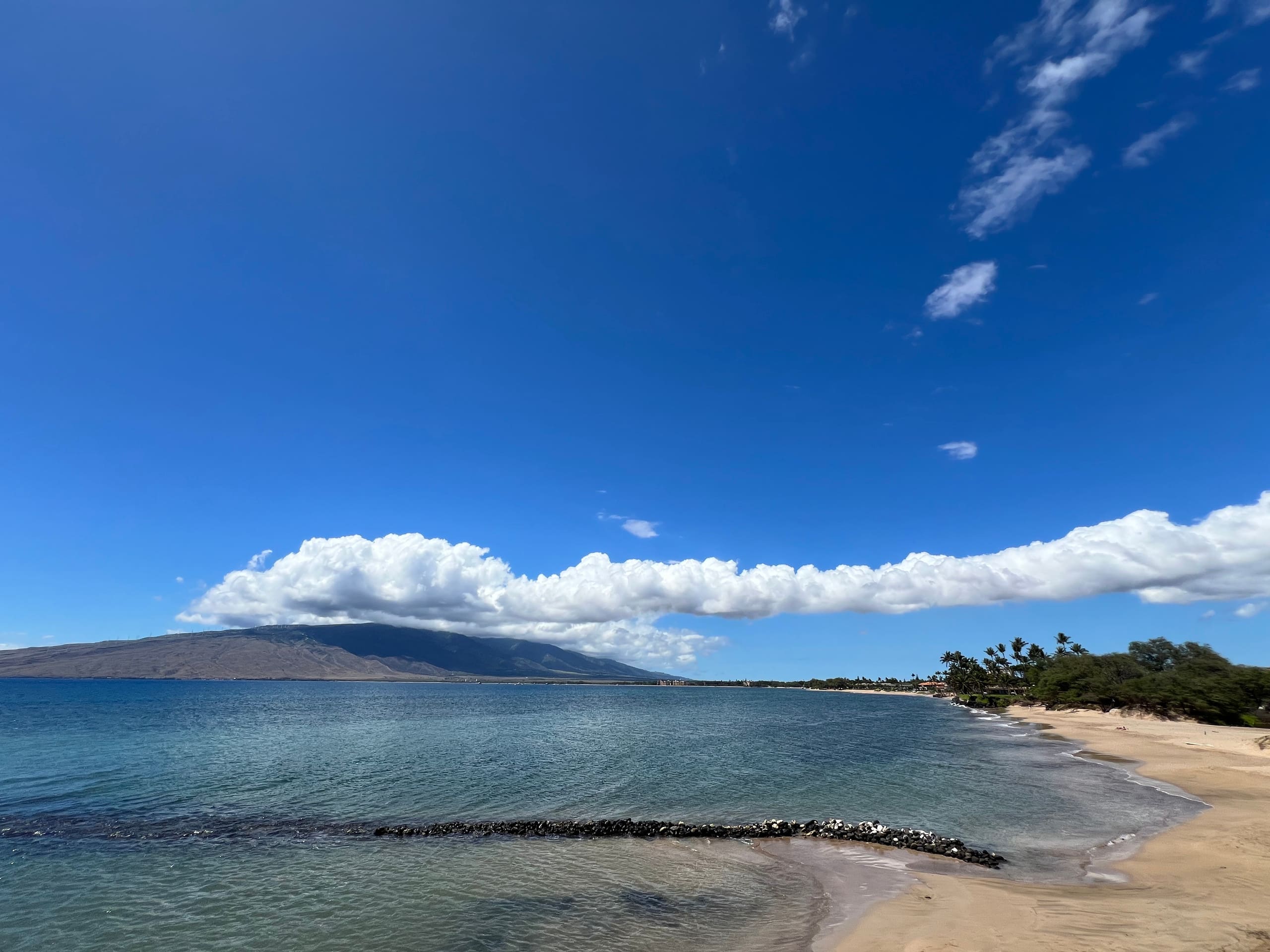 Condo in Kihei · ★4.89 · 1 bedroom · 2 beds · 2 baths - Image 52