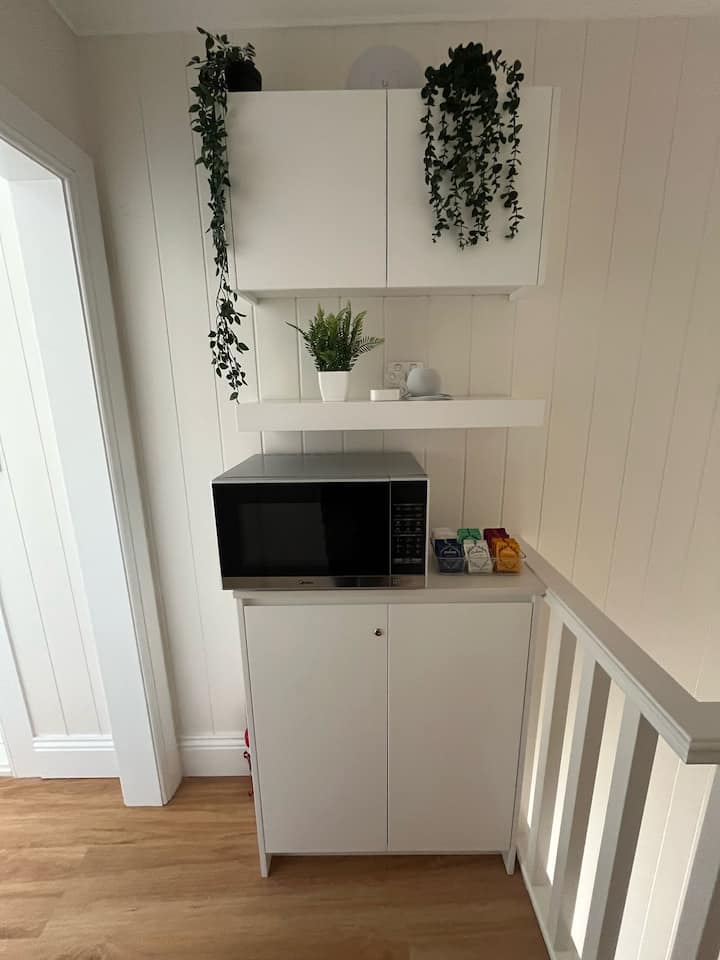 1.  Light Filled Surry Hills Terrace Room - Sydney