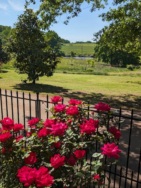 King-BBQ-W/D-FirePt-Sunroom-Fast WiFi-Full Kitch