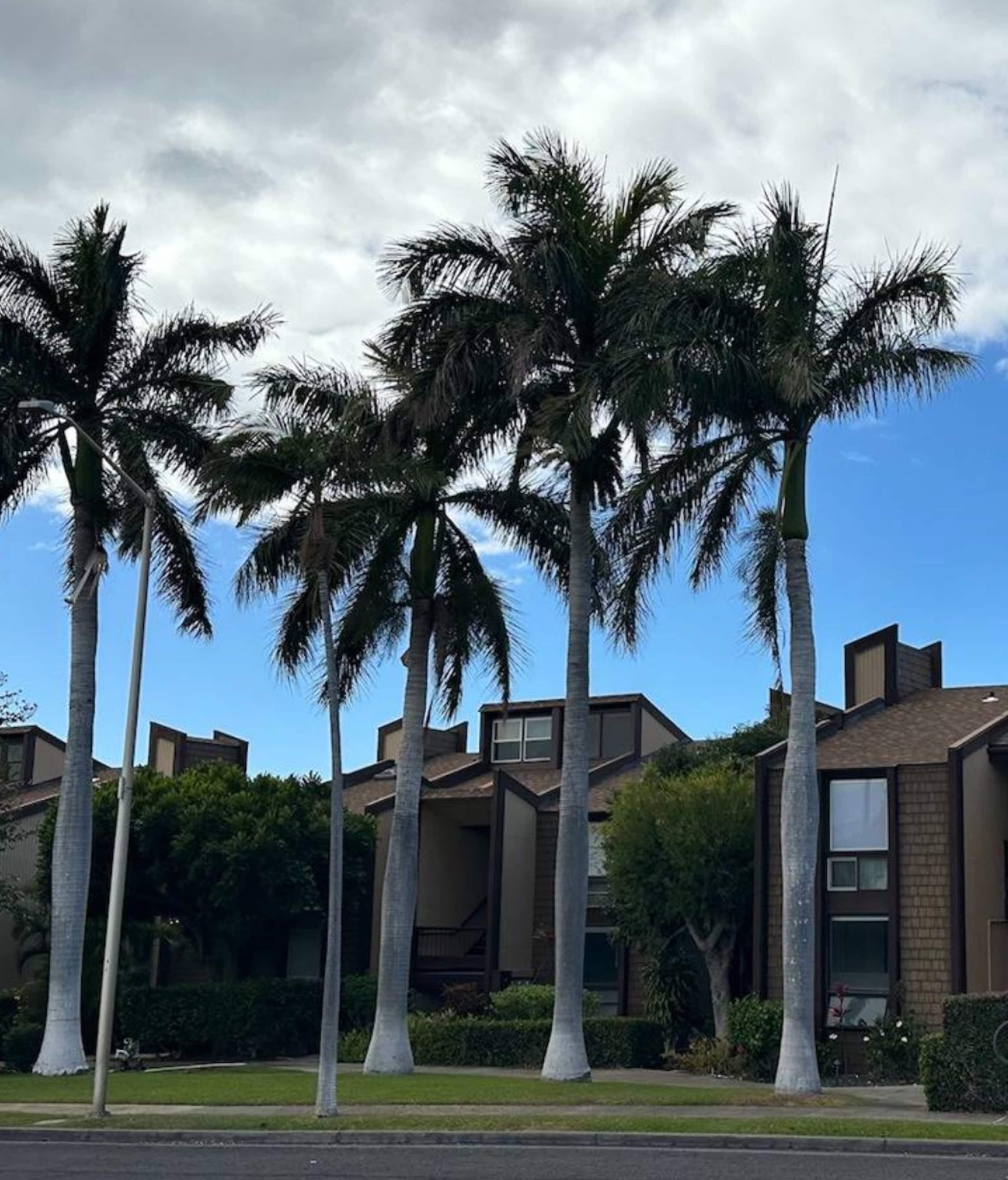 Condo in Waikoloa Village · ★4.91 · 2 bedrooms · 3 beds · 2 baths - Photo 72