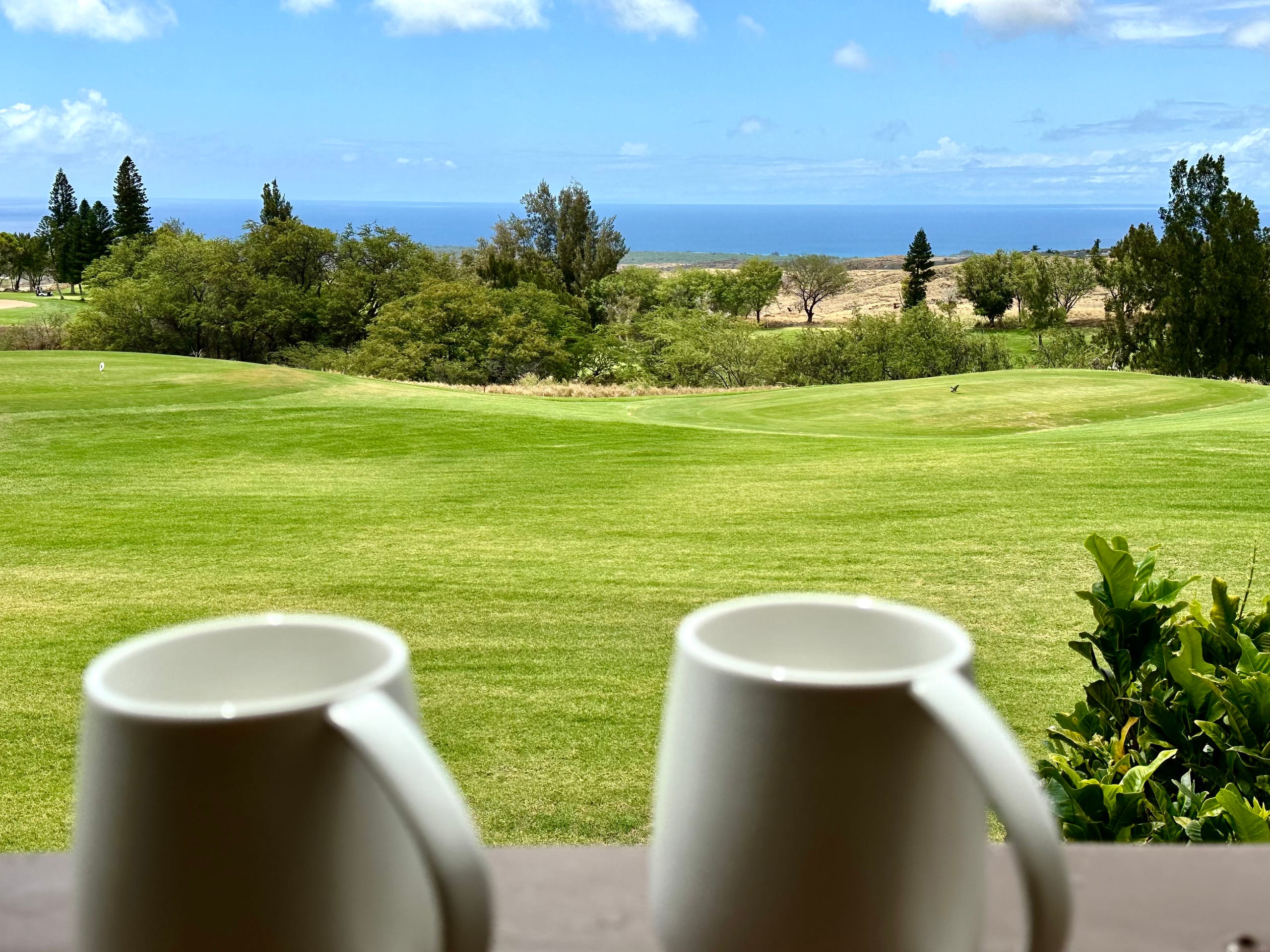 Condo in Waikoloa Village · ★4.91 · 2 bedrooms · 3 beds · 2 baths - Photo 80