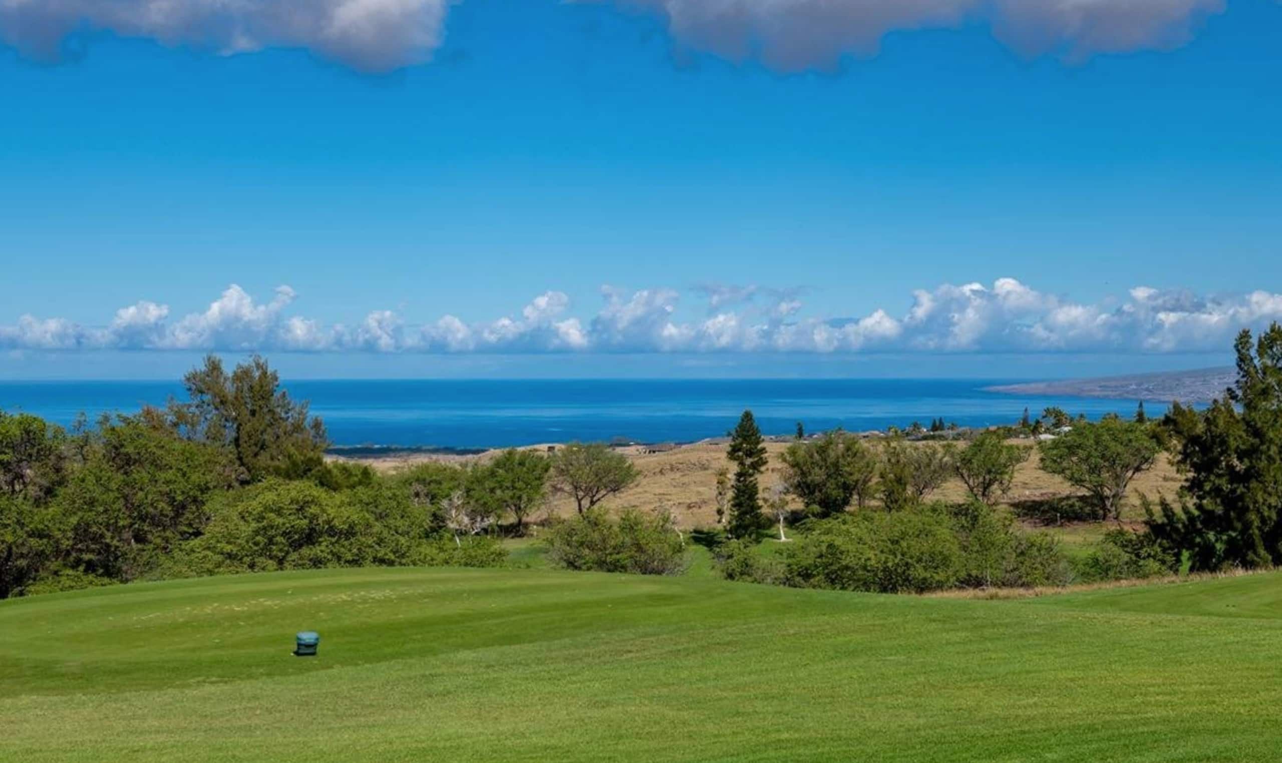 Condo in Waikoloa Village · ★4.91 · 2 bedrooms · 3 beds · 2 baths - Photo 75