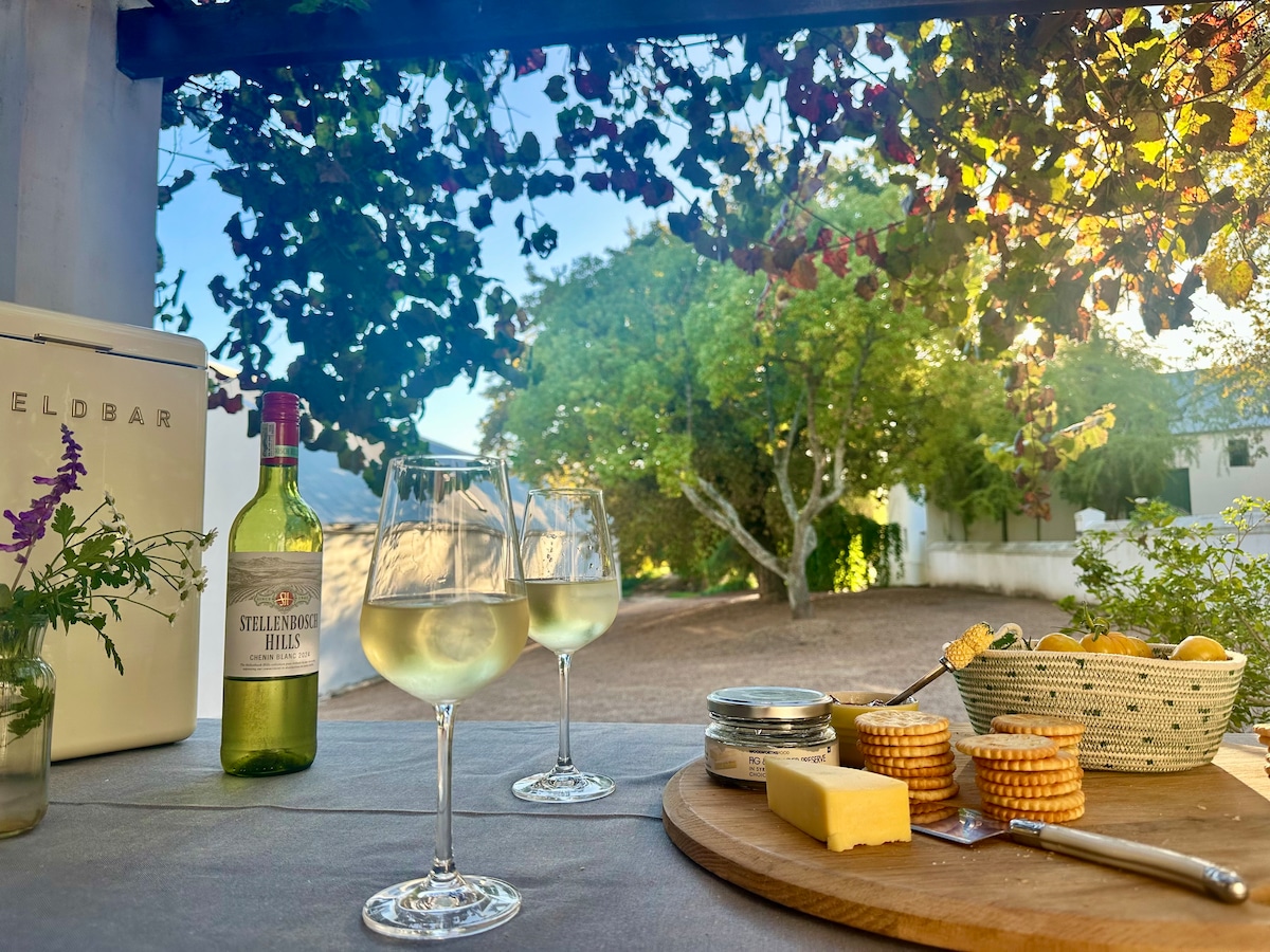 A wooden table is set with two glasses of white wine, a bottle of Stellenbosch Hills wine, and a platter featuring cheese and crackers. In the background, a lush garden with trees is visible, shaded by leafy vines overhead.
