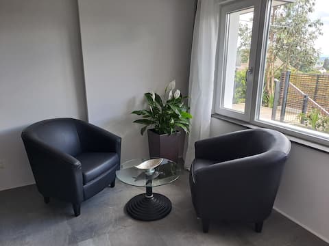 Top performing Airbnb: A place to feel good in Zurich