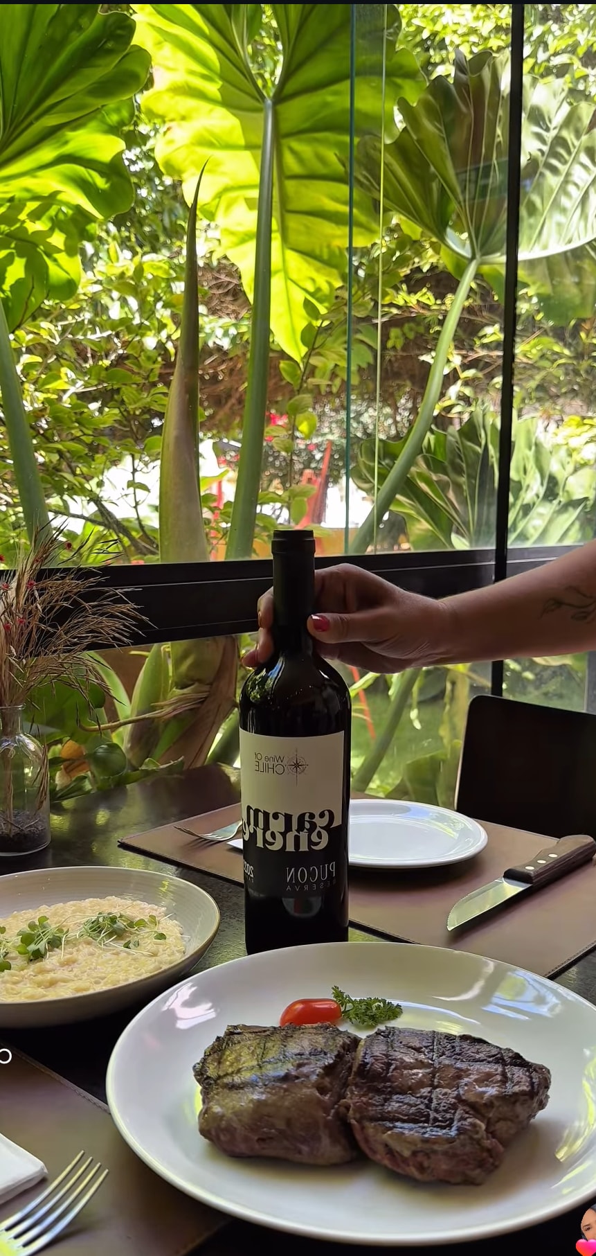 A dining table is set with two plates featuring grilled meat and a creamy dish. A bottle of wine is being placed on the table, while lush green plants are visible through large glass windows, creating a refreshing ambiance.
