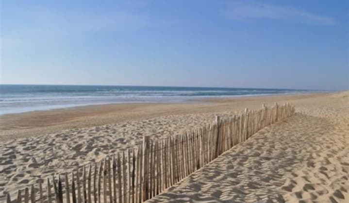 A serene sandy beach stretches along the coastline, with gentle waves lapping at the shore. Wooden fencing creates a boundary in the sand, while clear blue skies extend above, offering a peaceful atmosphere. The scene conveys an inviting space for relaxation and exploration.