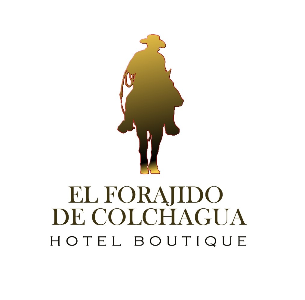 A stylized logo features a silhouette of a horseman, symbolizing the essence of the region. The name 'El Forajido de Colchagua' is displayed in elegant typography, complemented by 'Hotel Boutique' beneath it, all set against a clean white background.