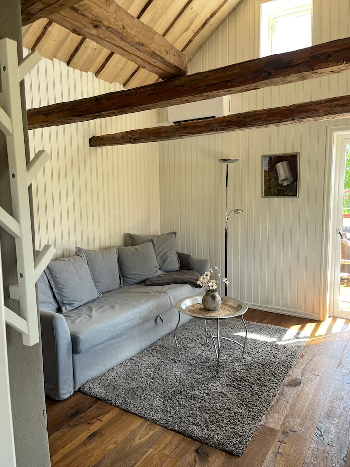 Detta är en bäddsoffa för två personer. I soffan finns bäddmadrass och sängkläder