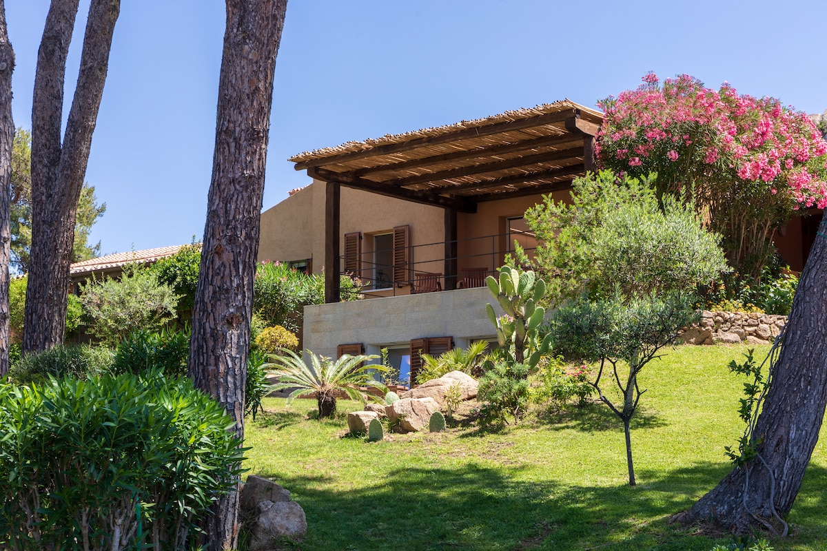 Casa Verbena — view 2
